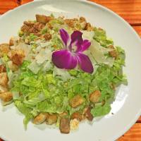 Caesar Salad · Romaine, Parmesan, Caesar dressing, croutons.