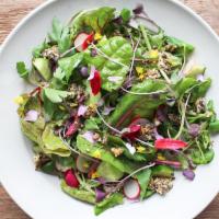 OG Baby Lettuces Salad · Little Gems, Young Red & Green Leaf Lettuces, Cucumbers, Fennel, Radishes, Flowers, Everythi...