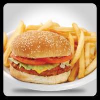 Chicken Sandwich · Chicken breast, lettuce, tomatoes, onions and cheese. Served with fries and coleslaw.