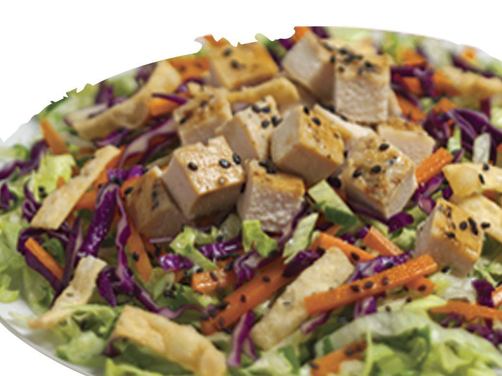 Asian Chicken Salad · Shredded lettuce, carrots, cabbage, green onions, and cilantro with wonton strips, sesame seeds, and Asian dressing.