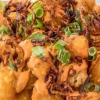 Cashew Chipotle Tots · Tater tots, cashew chipotle sauce, fried shallots, and greens onions. A la carte tots and po...