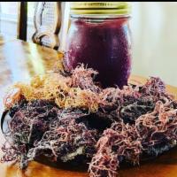 Purple Sea Moss Gel · Ocean grown purple sea moss, distilled water or spring water, key lime.