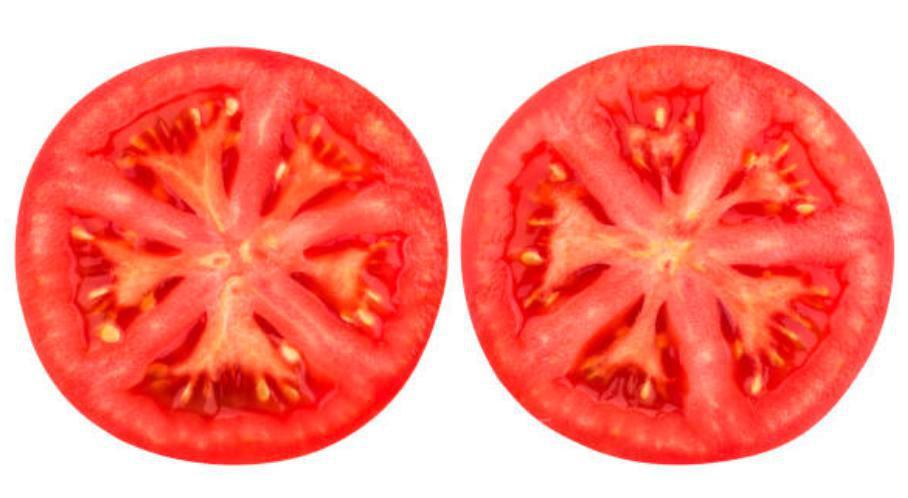 Slices of Tomato Breakfast · 