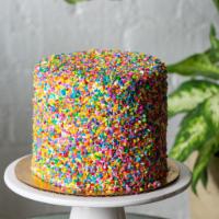 Rainbow Sprinkle Chocolate Cake Whole · 6