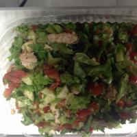 Grilled Salmon Salad · Romaine lettuce, warm grilled salmon, grape tomatoes, bell peppers, red onion, and cucumbers...