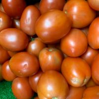 Plum Tomatoes · 
