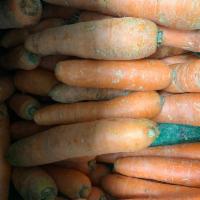 Carrots · 