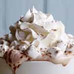 Hot Chocolate · Chocolate syrup with frothed milk.
