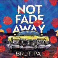 Not Fade Away 4pk 16oz Can Brut IPA · Must be 21 to purchase.