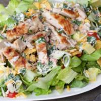 Grilled Chicken Salad · grilled chicken/lettuce/tomato/cucumber/croutons/parmesan cheese