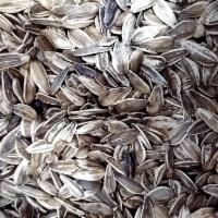 1/2 lb. Sunflower Seeds Nuts · 
