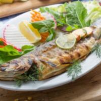 Mediterranean Whole Sea Bass  ·  Charcoal grilled with lemon, olive oil and garlic. 