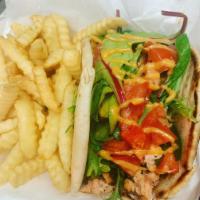Pita  · Your choice of salmon, grilled chicken or steak served with lettuce, tomatoes and onions on ...