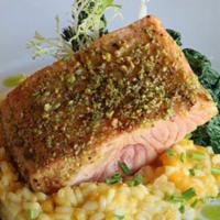 Pistachio Crusted Salmon · Butternut squash risotto, spinach, red wine agrodolce sauce.