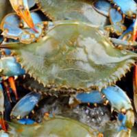 Maryland Blue Crab   · Per lb.