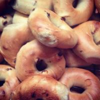 Dozen Bagels · Please write bagel selection and quantity per flavor in the special instructions box.
