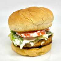 #14 Salmon Burger Plate · Seasoned salmon patty on a Kaiser Roll with lettuce, tomato, onion, drizzled garlic aioli, a...
