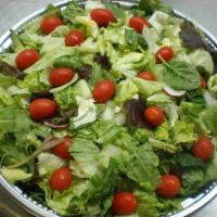 Green Salad Party Plate · 
