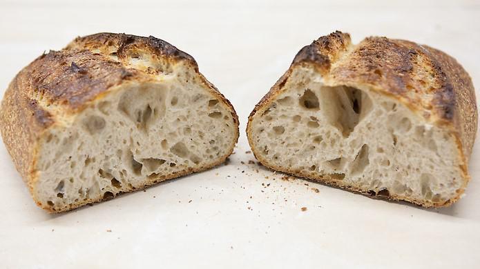 She wolf Sourdough · Unlike traditional yeast bread, this sourdough utilizes a “starter” made of water and flour. The starter ferments for several days, then is added to the dough and left to rise. This process results in a crusty outside and chewy inside with plenty of air pockets