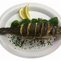 Whole Fish Bronzino · Whole fish pan-fried or oven roasted to perfection.
