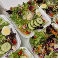 Fresh Garden Salad · All of our salads have iceberg and spring mix lettuce, carrots, cabbage, tomato, cucumber an...