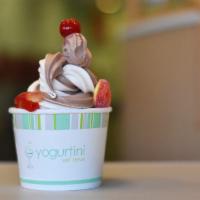 Dutch Chocolate Froyo · Non Fat Frozen chocolate Yogurt