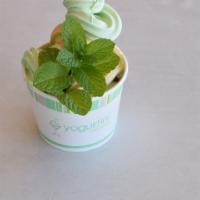 Mint · Non Fat Frozen Yogurt