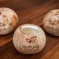 Coconut Water · Authentic Costarican Coconut Water in Coconut.