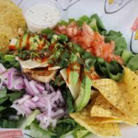The Cabo Salad · Taco seasoned chicken, pepper jack, avocado, tomatoes, onions, tortilla chips, cilantro and ...