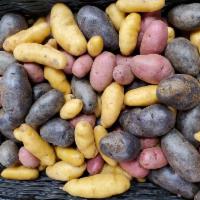 Fingerling Potatoes · Fingerling Potatoes purchase by the pound