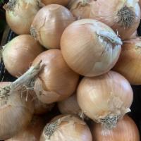 Spanish Onions · Spanish Onions purchase by the pound