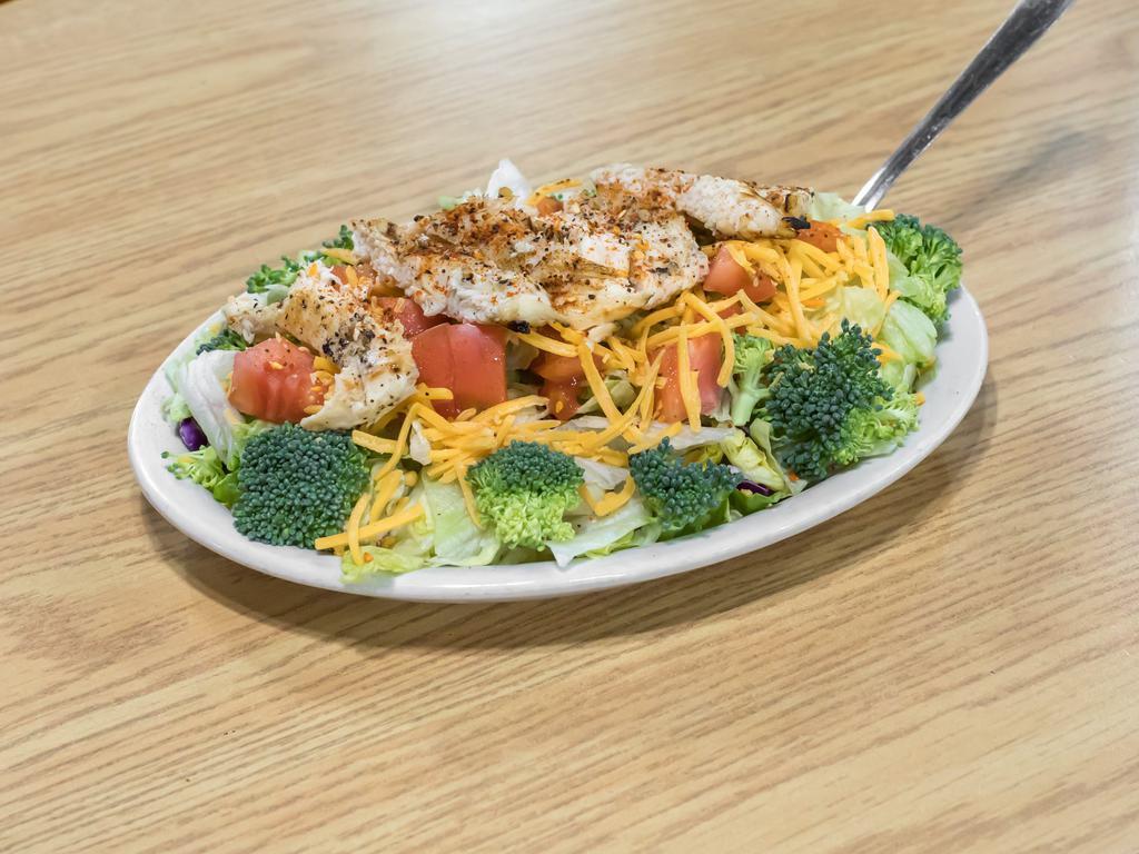 Chicken Entree Salad  · A large salad served with grilled chicken. (No sides included).