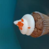 Carrot Cake · Carrot cake with walnuts, raisins, and carrots topped with almond buttercream