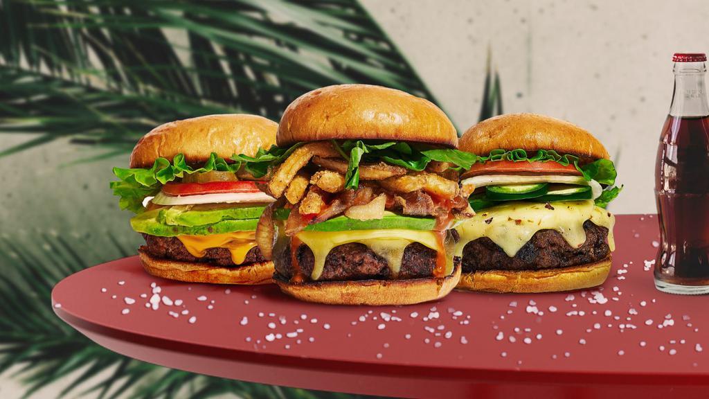 The Dirty Bite Vegan Burgers · 