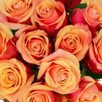 Orange Rose Bunch · 12 Stem Orange Roses