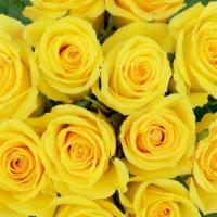 Yellow Rose Bunch · 12 Stem Yellow Roses