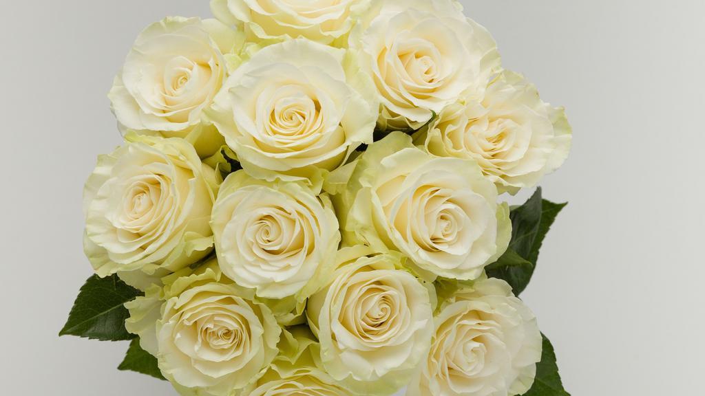 White Rose Bunch · 12 Stem White Roses