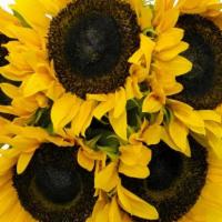 Sunflower 5 Stem · Fresh Cut, colors may vary