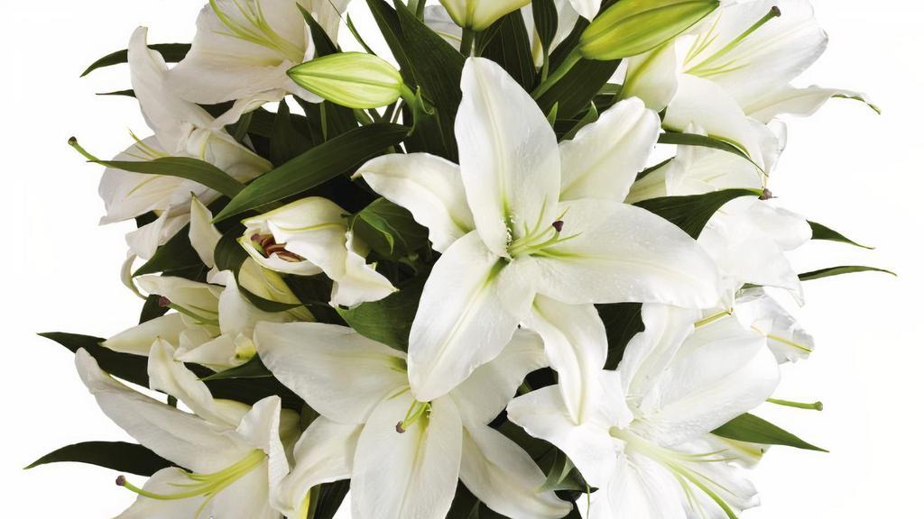 Debi Lilly White Lily 3 Stem · Fresh Cut, variety can be Stargazer, Oriental, or Sonata