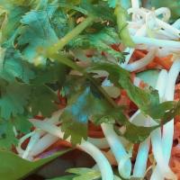 Fresh Salad (GF) · Fresh salad with spring mix, cucumbers, cilantro, bean sprouts, pickled carrots & daikon. To...