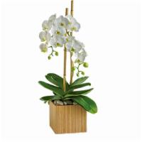 Opulent Orchids · Beautiful  double stemmed orchid. Depending on availability the container might change.
