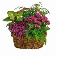 Secret Garden Basket · Designer selected garden basket