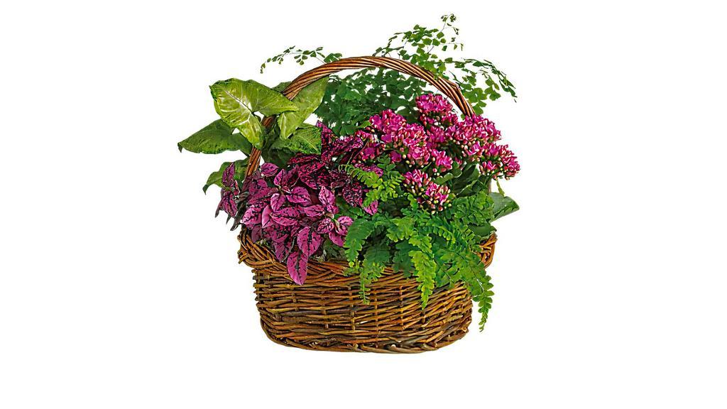 Secret Garden Basket · Designer selected garden basket