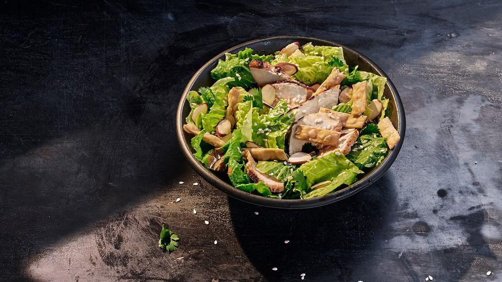 Kids Asian Sesame Chicken Salad · 200 Cal. Chicken raised without antibiotics, mixed greens, cilantro, toasted almonds, sesame seeds and wonton strips tossed in Asian sesame vinaigrette. Allergens: Contains Wheat, Tree Nuts. May contain Egg