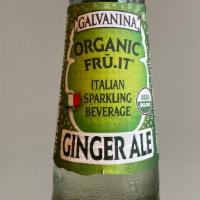 Ginger Ale -  Italian Organic Sparkling Fruit Beverage · 