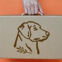 Pepper's Play Pack · A box of toys we've curated just for you and your pup to enjoy