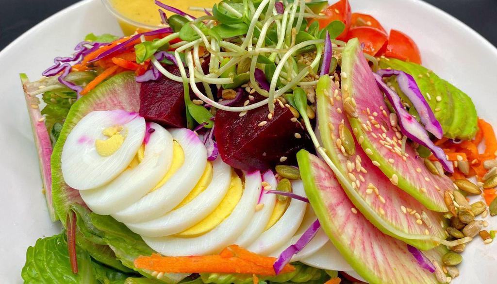 Bountiful Green Salad · Shredded carrots & cabbage, picked beets, tomato, cucumber, radish, mixed beans, hard boiled egg, avocado, seeds & sprouts, served with your choice of dressing