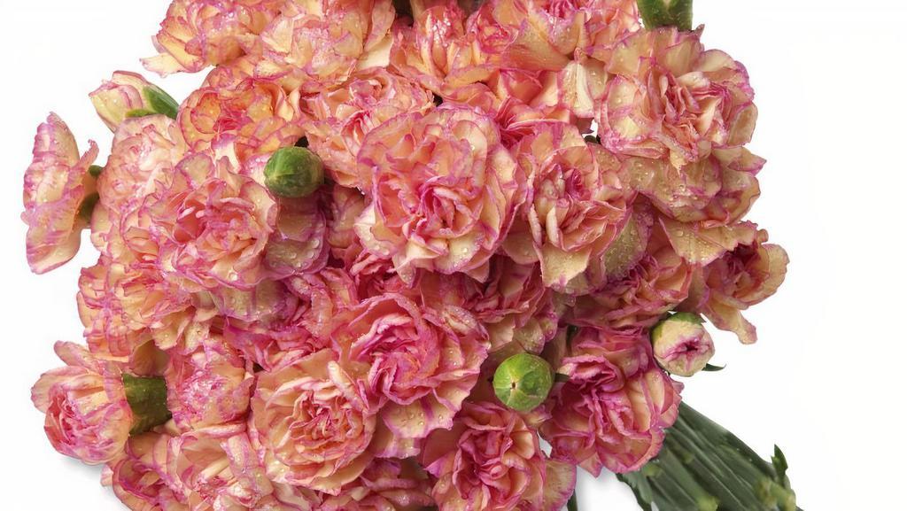 Mini Carnations 40 Blooms · Fresh Cut, colors may vary