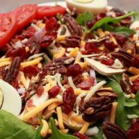 Spinach Salad · Spinach, bacon, mushrooms, tomatoes, dried cranberries, pecans, red onions, jack and cheddar...