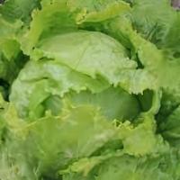 Lettuce · Lettuce, Guaranteed freshness and quality of this product Produce items will be billed based...